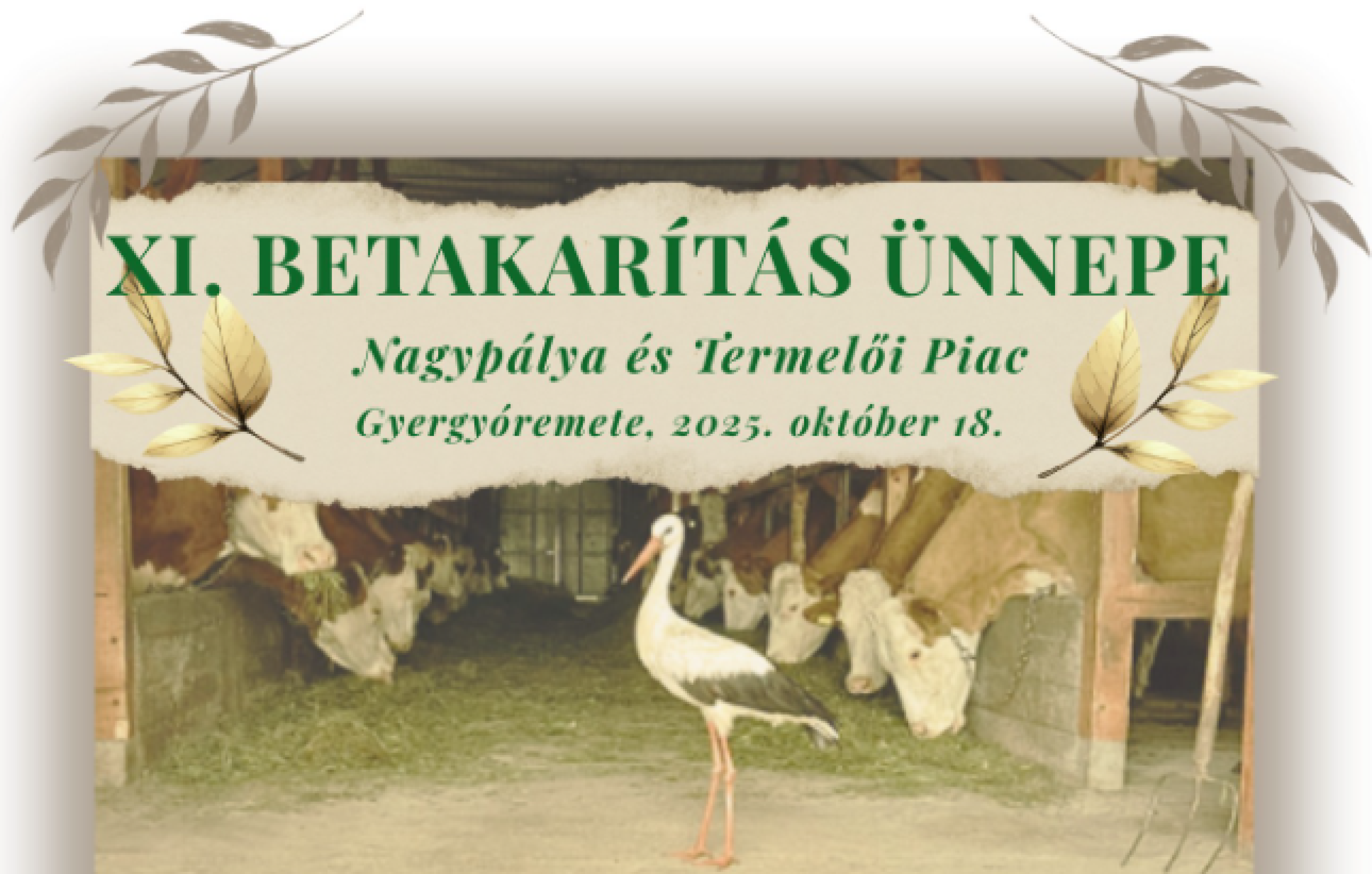 Gazdanap program - Traktorburrogtató és terménykiállítás